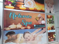 Artemis Spa - Firma Logosu