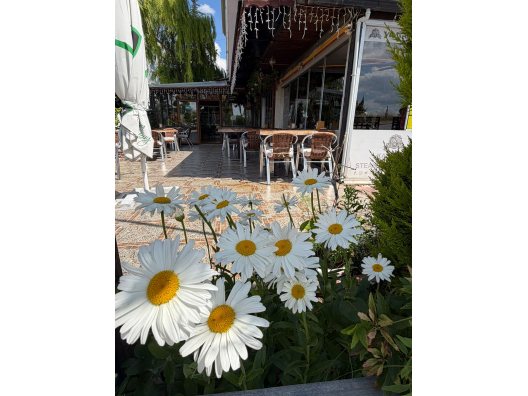 Uşak'ta Akşam Yemeği İçin Restoran Seçerken Nelere Dikkat Edilmeli?
